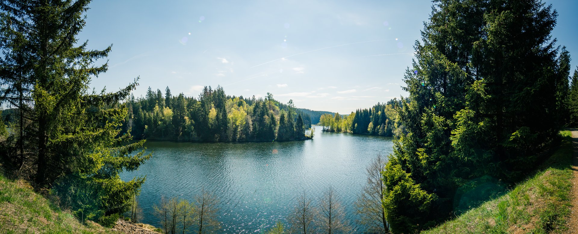 Blick auf Oberharzer Teich im Sommer