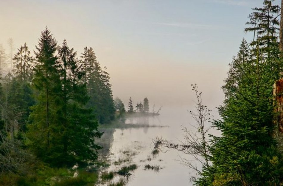 Bick auf Oderteich mit Nebel 
