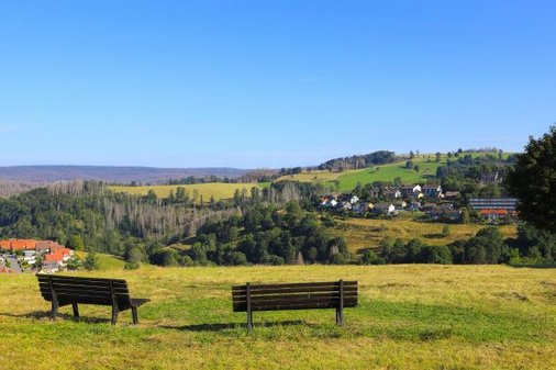 Blick über Bänke und Bergwiesen auf Sankt Andreasberg