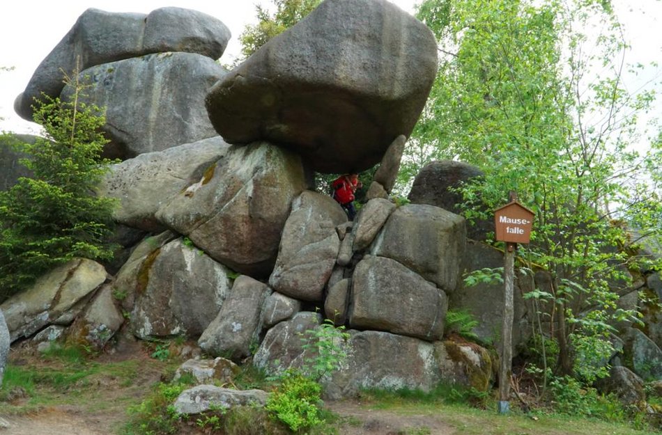 Mausefallen bei den Kästeklippen