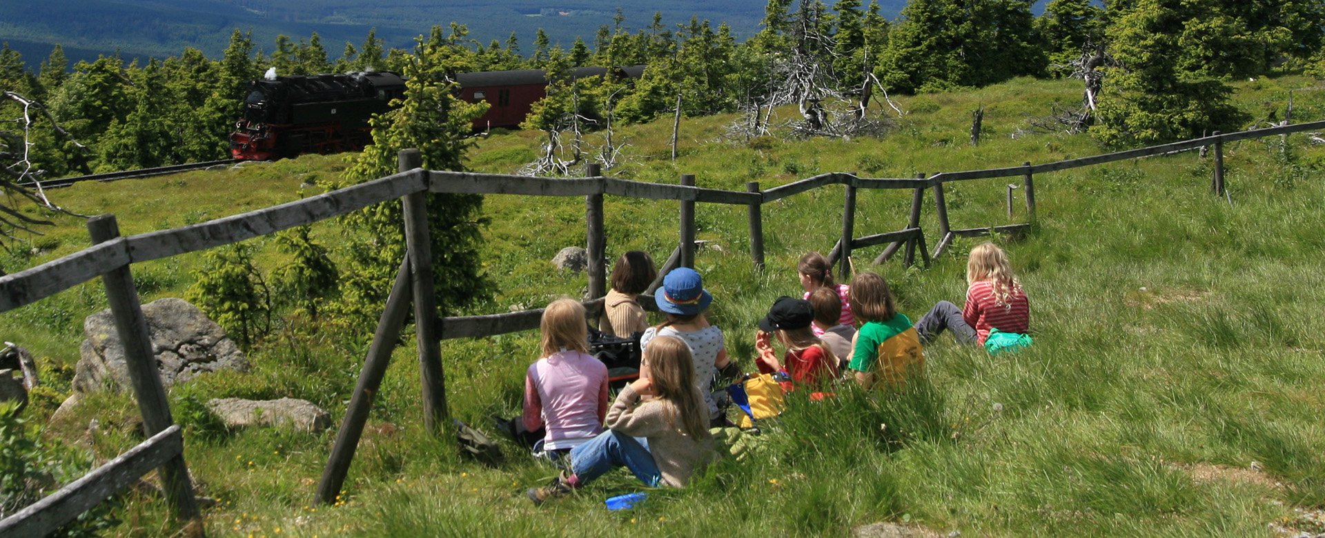 Kindergruppe sitzt in Gras auf dem Brocken
