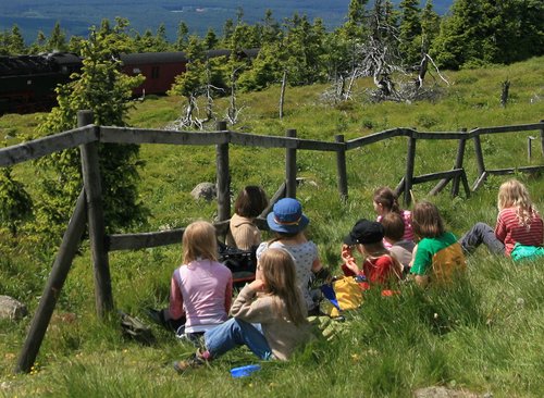 Kindergruppe sitzt in Gras auf dem Brocken