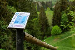 Discgolf Oberharz Aktivitäten
