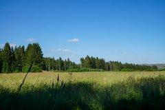 Wiese mit blauem Himmel