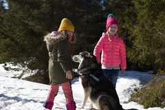Zwei Mädchen und ein Hund stehen im Wald im Schnee