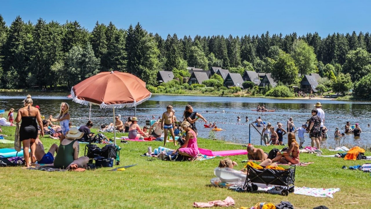 Blick über die Liegewiese auf den Teich