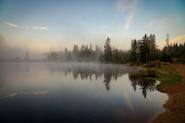 Der Oderteich im Nebel