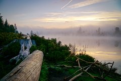 Blick auf Oderteich im Nebel