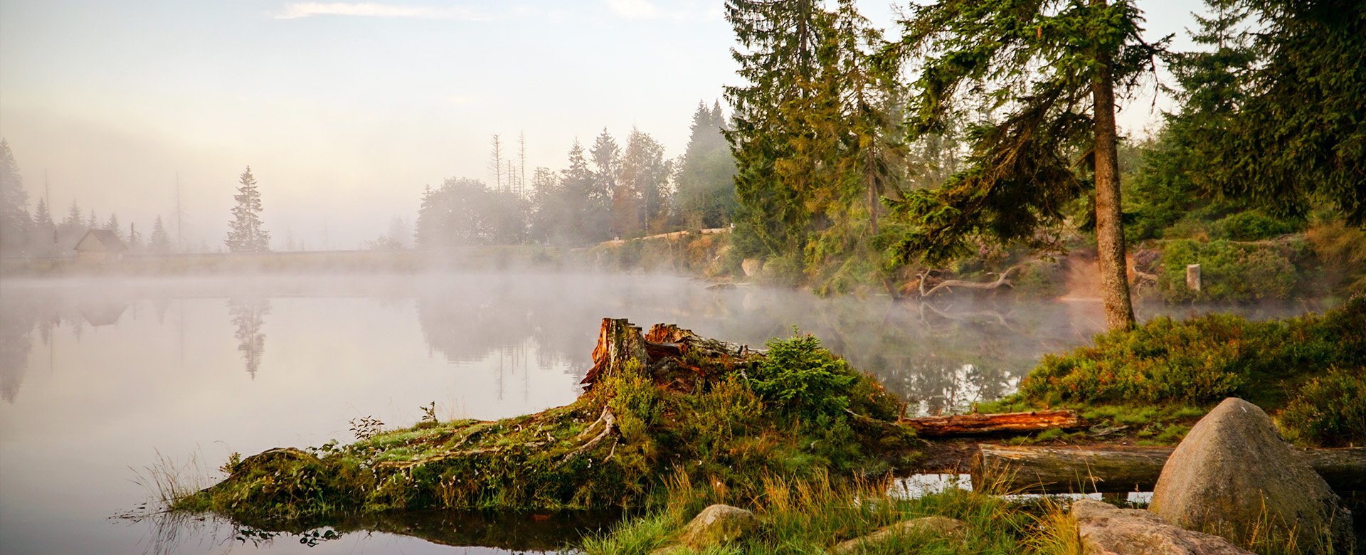 Blick auf den Oderteich im Nebel