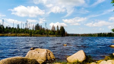 Blick auf Wasserfläche des Oderteichs 