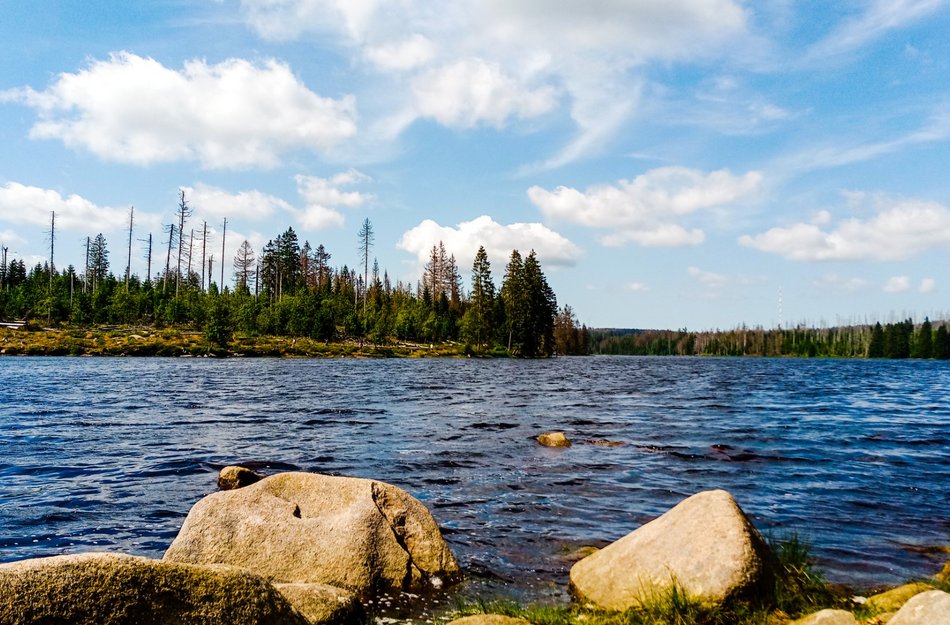 Oderteich Oberharz wandern