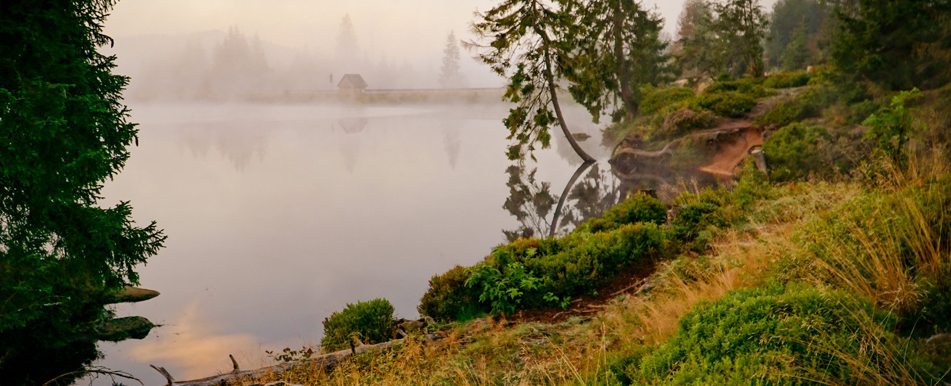 Teich mit Seeufer bei morgendlicher vernebeltem Wetter