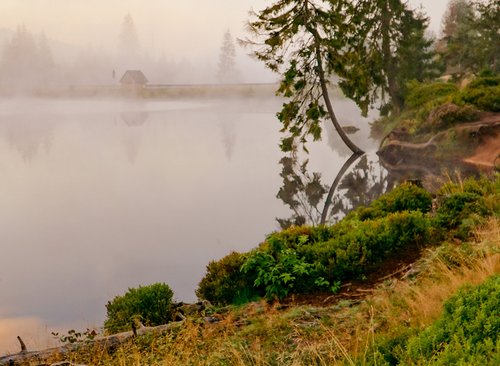 Teich mit Seeufer bei morgendlicher vernebeltem Wetter