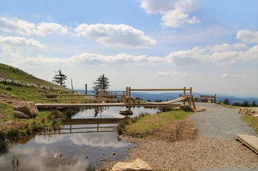 kleine Brücken über eine Wasserquelle auf dem Wurmberg