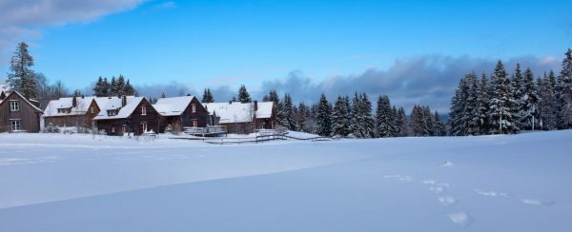 Blick über verschneite Wiese zum Torfhaus Harzresort 
