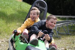 Kinder fahren mit der Sommerrodelbahn 