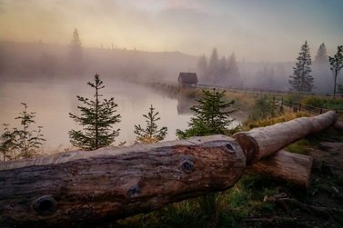 Oderteich im Nebel