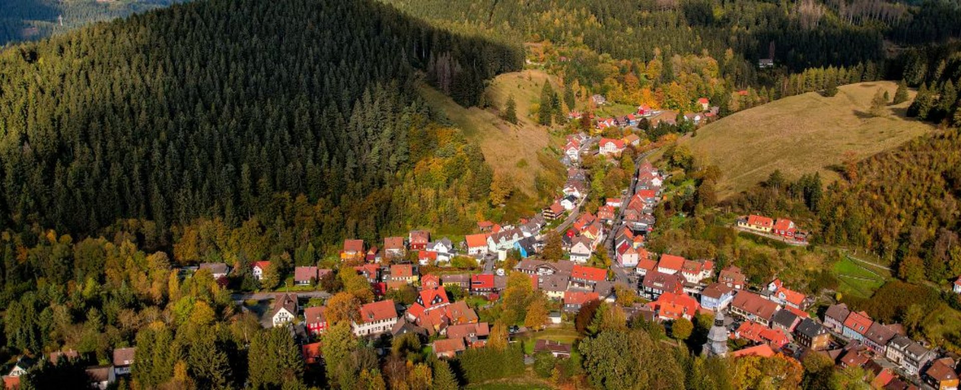 Blick auf Wildemann 