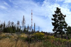 Oberharz Torfhaus Brocken wandern