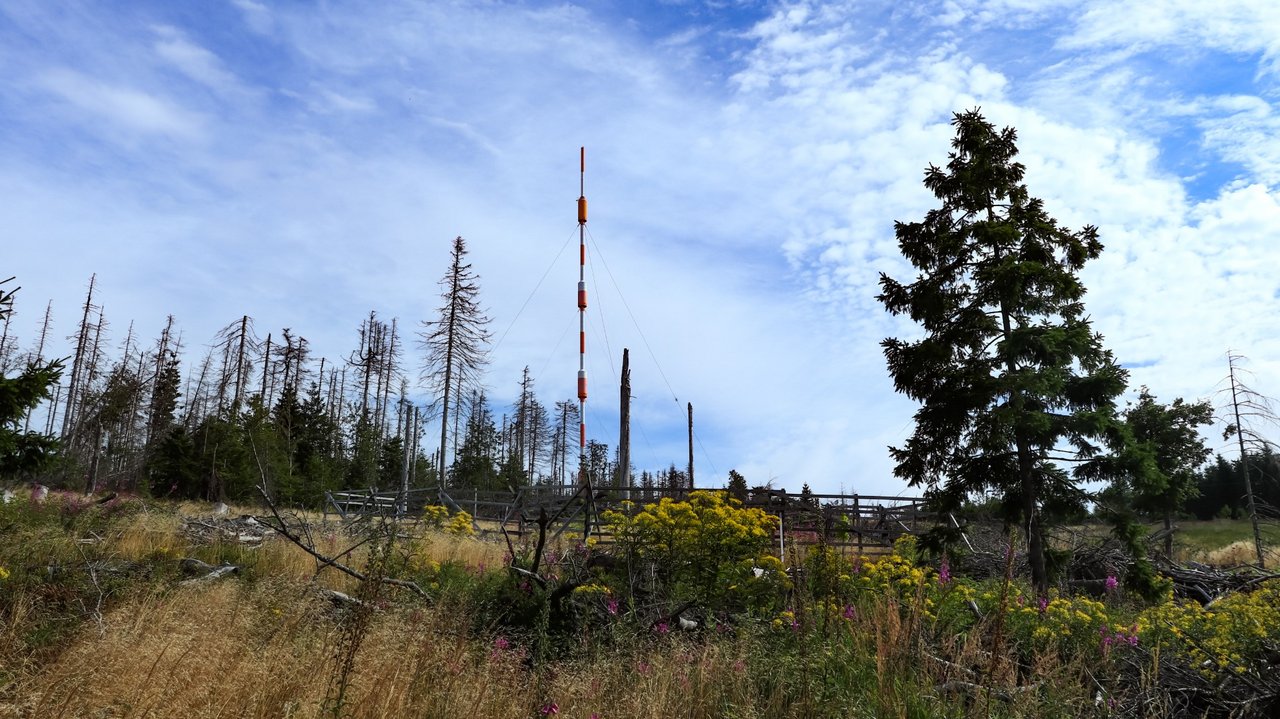 Oberharz Torfhaus Brocken wandern
