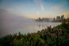 Blick auf Oderteich mit Nebel