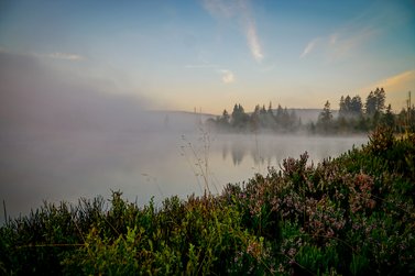 Blick auf Oderteich mit Nebel