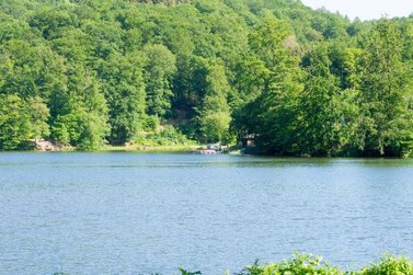 Der Wiesenbeker Teich im Sommer