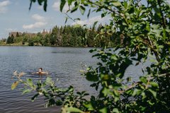 Frau schwimmt in einem See, im Vordergrund ein Baum