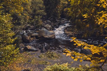 Selkefall im Herbst 