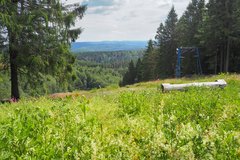 Ravensberg Oberharz wandern Natur