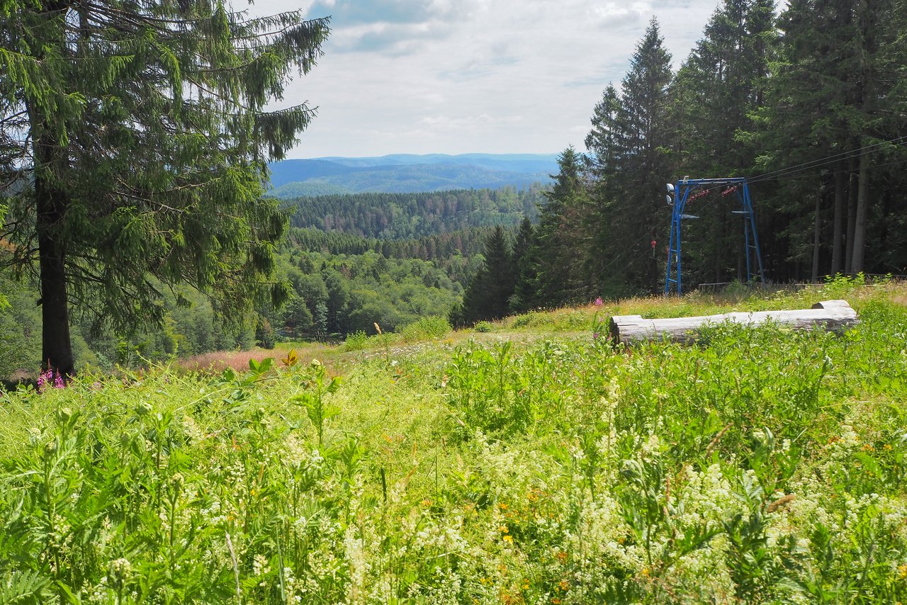 Ravensberg Oberharz wandern Natur