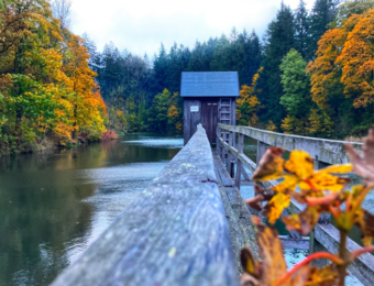 Das Striegelhaus am Carler Teich im Herbst