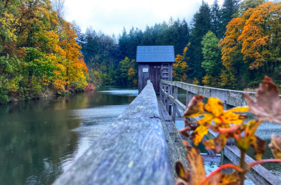 Das Striegelhaus am Carler Teich im Herbst