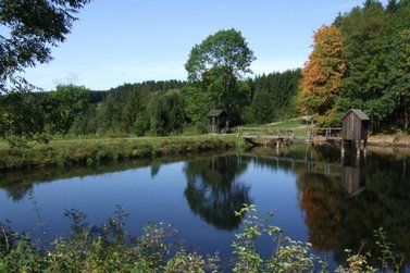 Blick auf Carler Teich mit Striegelhaus