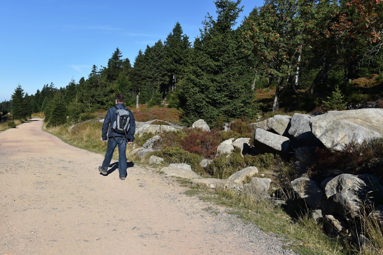 Goetheweg Oberharz wandern