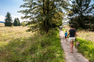 Wanderer auf einem Weg 
