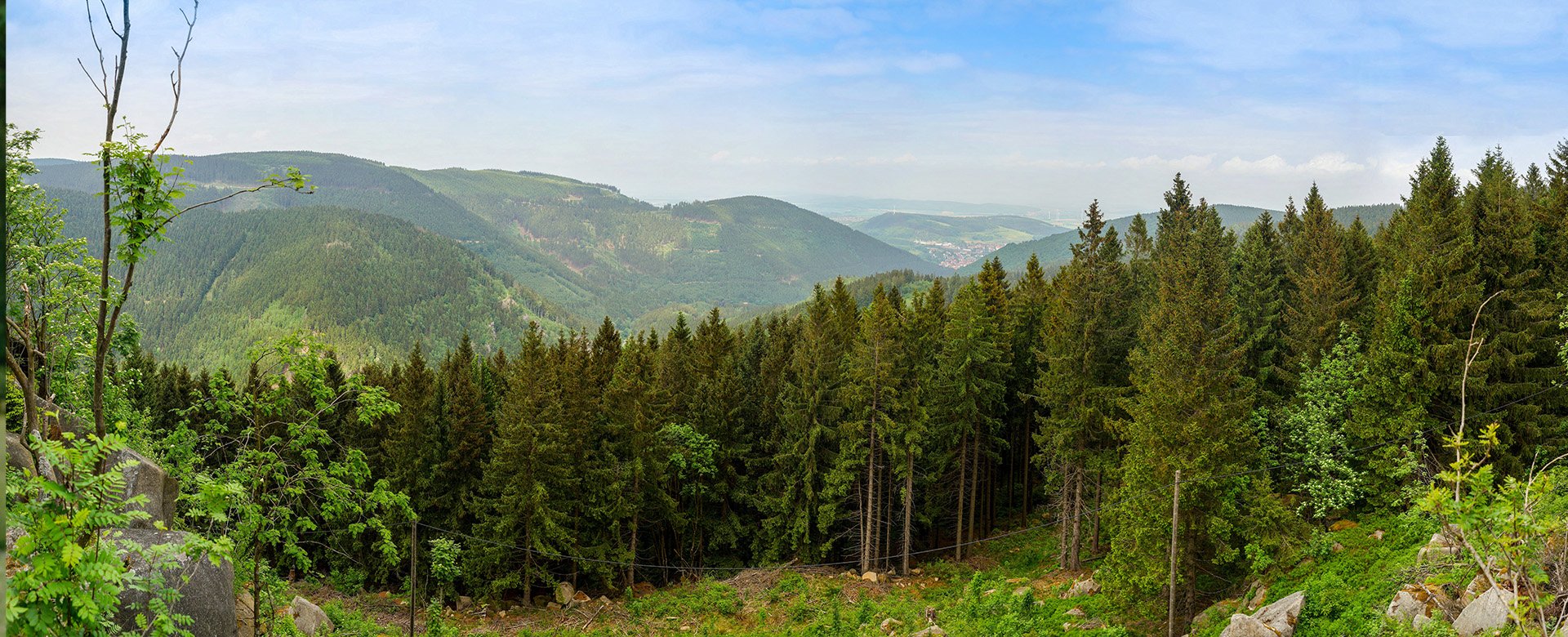 Blick über Harzer Hügel