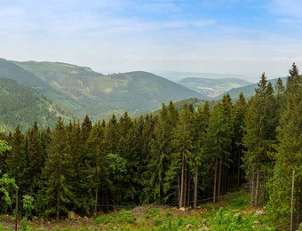 Blick über Harzer Hügel