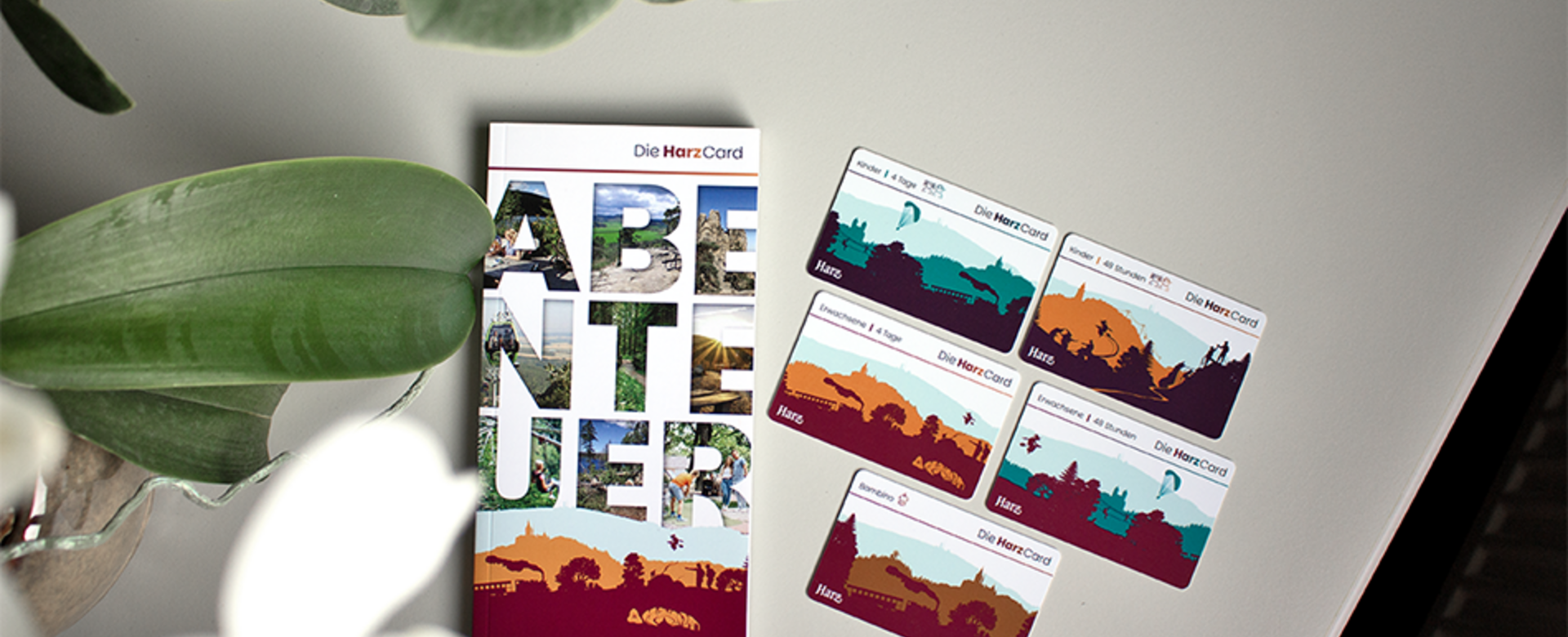verschiedene Harz-Cards liegen zur präsentation auf einem weißen Tisch