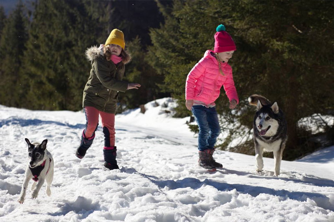 Zwei Kinder spielen mit zwei Hunden im Schnee