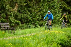 Zwei Radfahrer fahren auf einem Wiesenweg an einer Bank vorbei