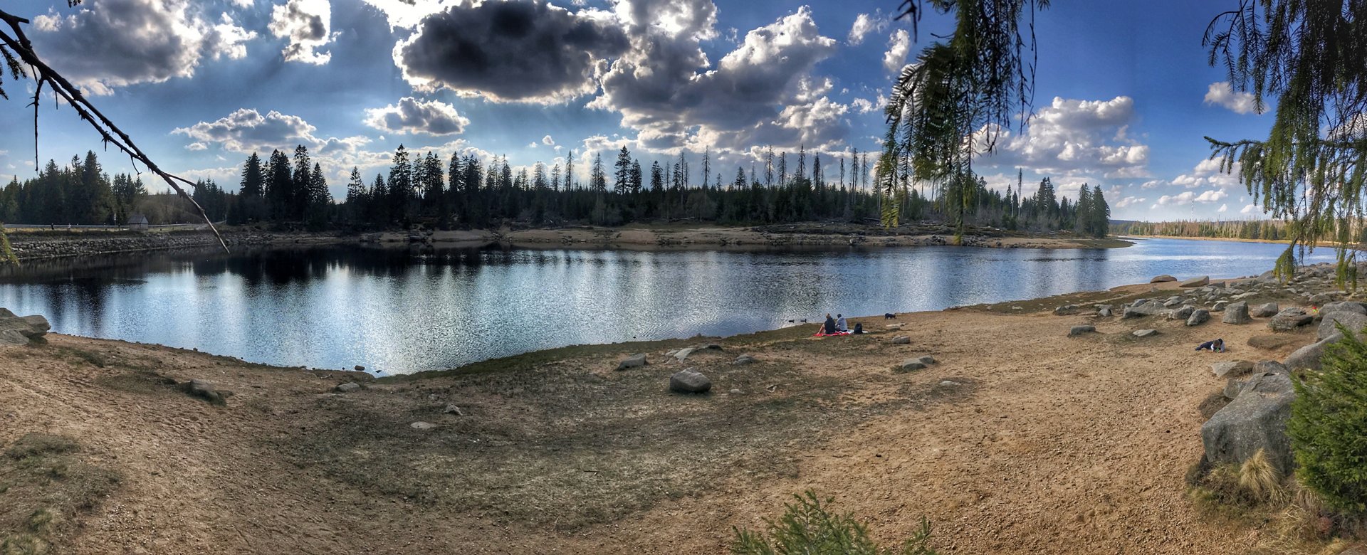 Rundblick am Oderteich