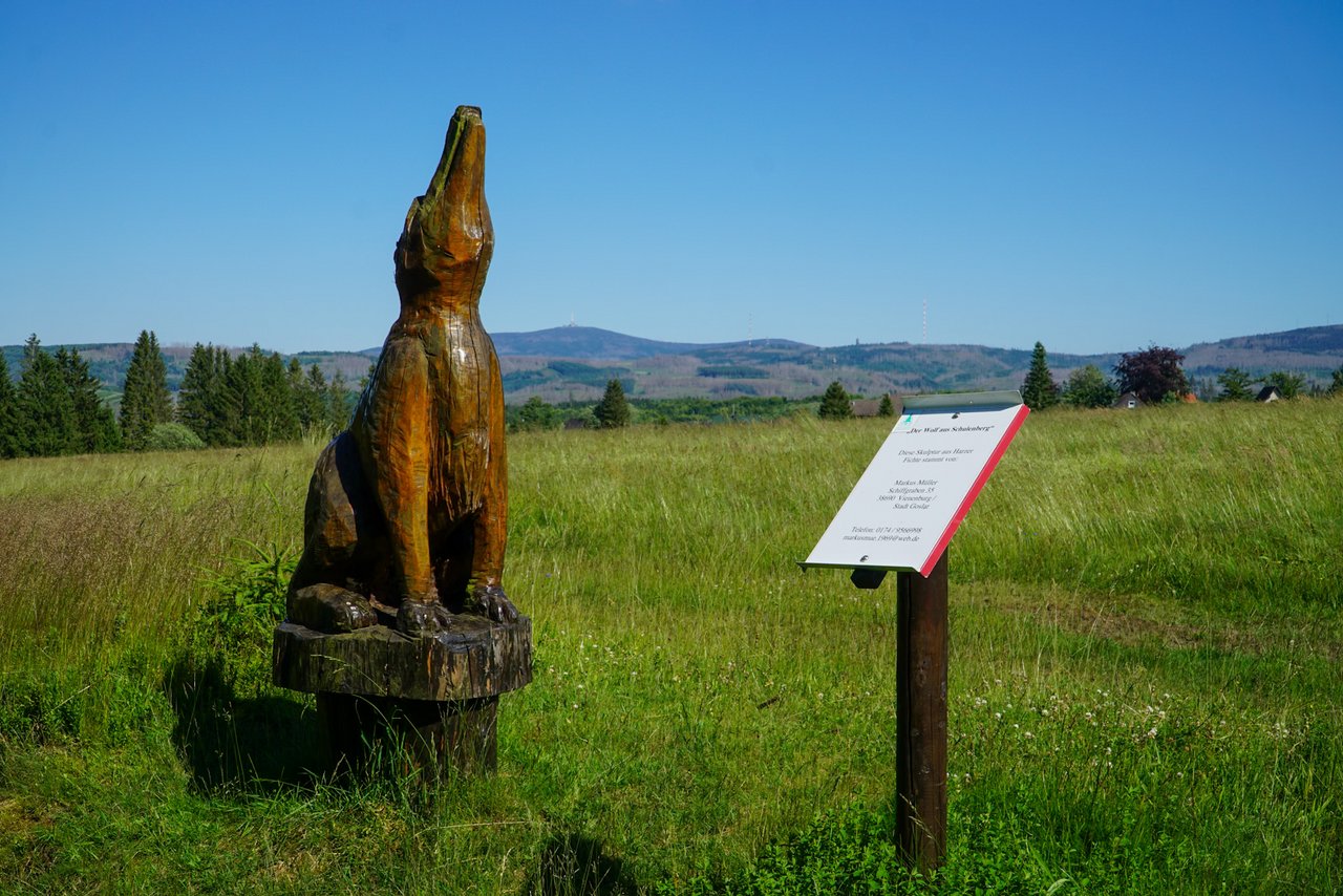 Geschnitzte Ente vor einer Wiese 