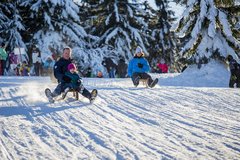 Familie rodelt im Winter 