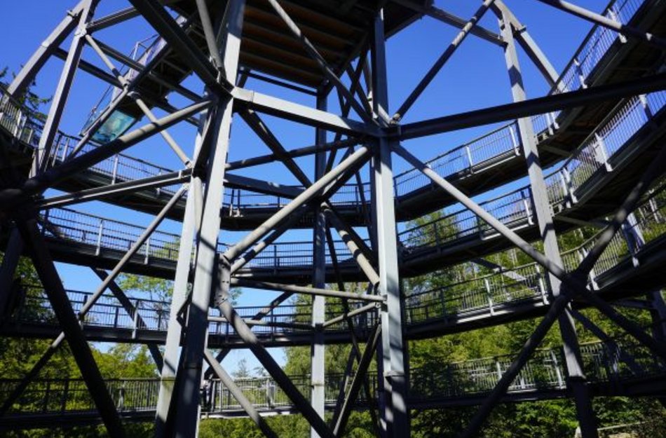 Aufgang des Baumwipfelpfads Bad Harzburg 