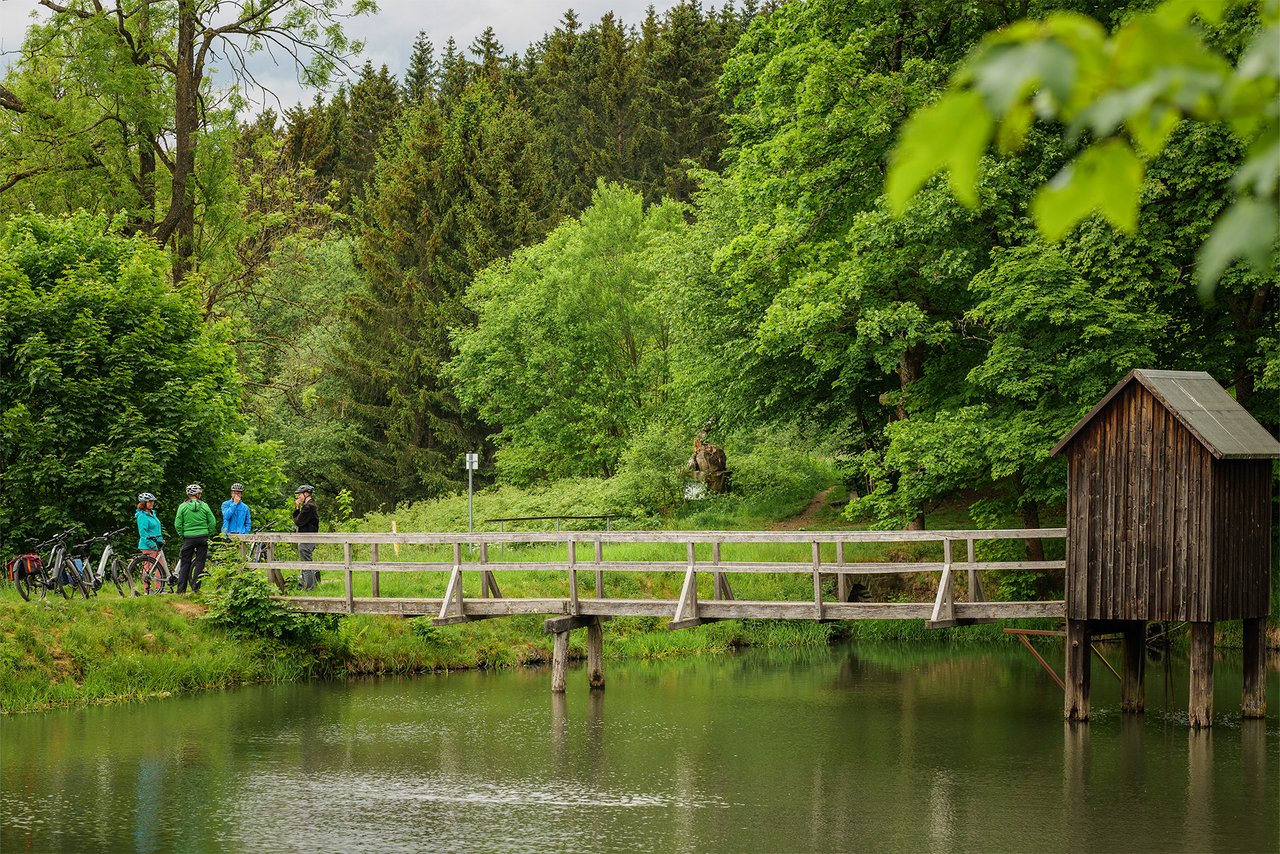 Radfahrer machen eine Pause neben einem kleinen Teich inmitten eines Waldes