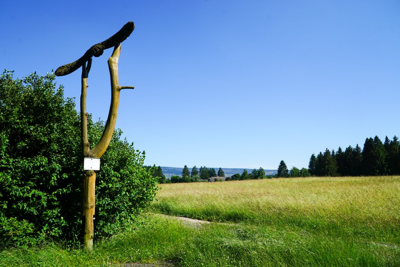 Wanderweg auf dem Skulpturenpfad 
