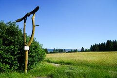 Wanderweg auf dem Skulpturenpfad 