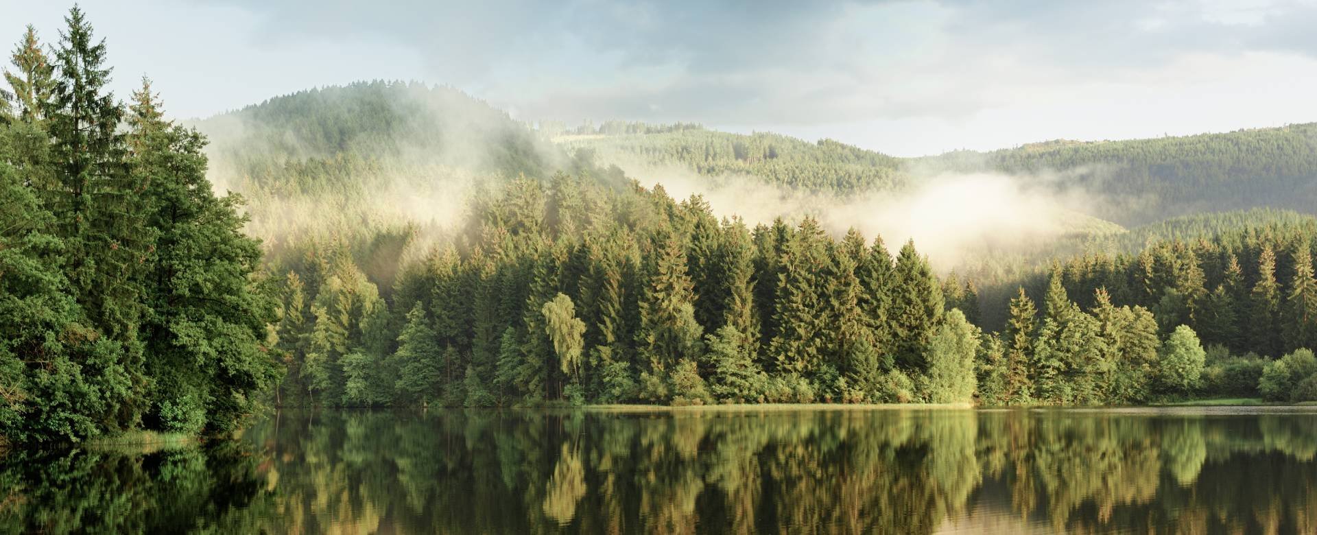 Gewässer umgeben von Nadelwald im Harz