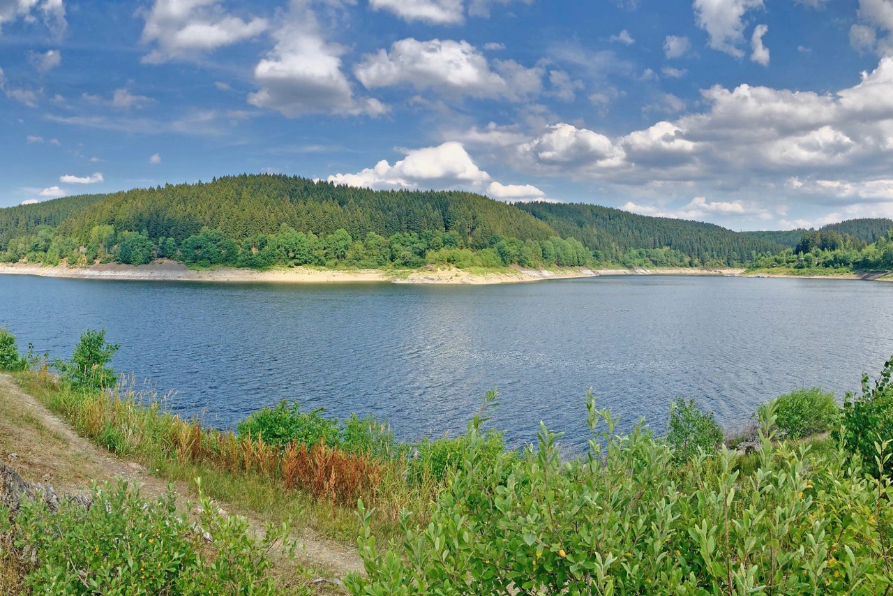 Oberharz wandern Oderteich Natur